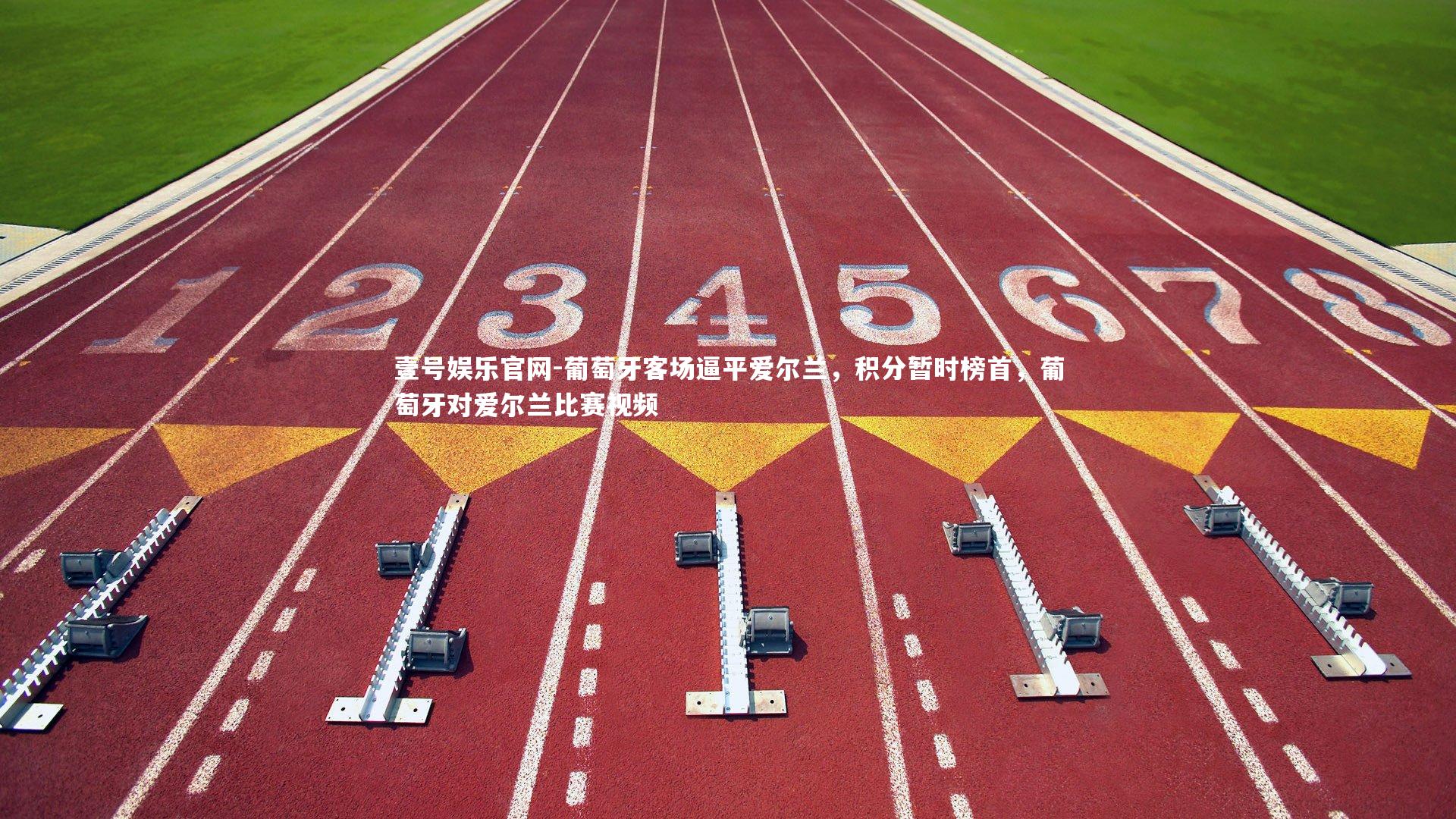 葡萄牙客场逼平爱尔兰，积分暂时榜首，葡萄牙对爱尔兰比赛视频